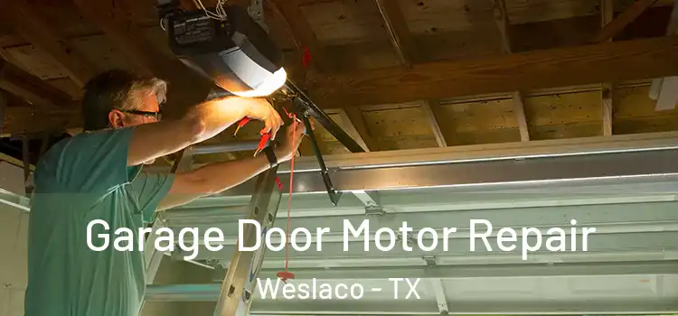  Garage Door Motor Repair Weslaco - TX