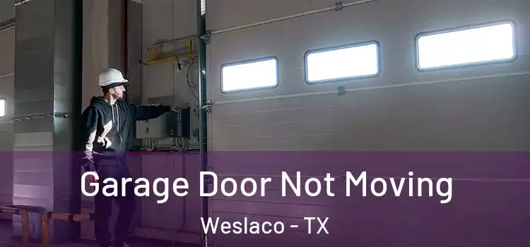  Garage Door Not Moving Weslaco - TX