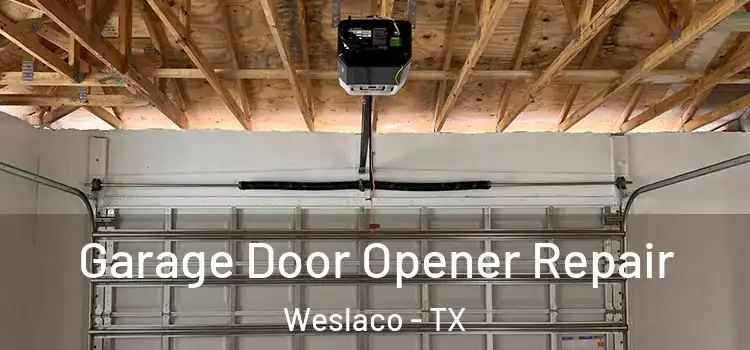  Garage Door Opener Repair Weslaco - TX