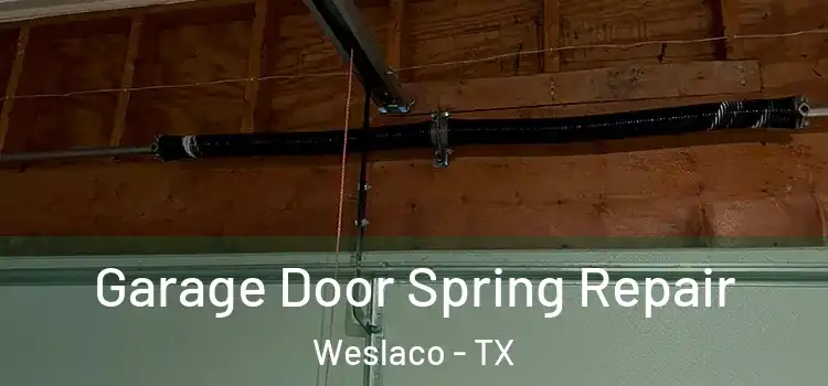  Garage Door Spring Repair Weslaco - TX