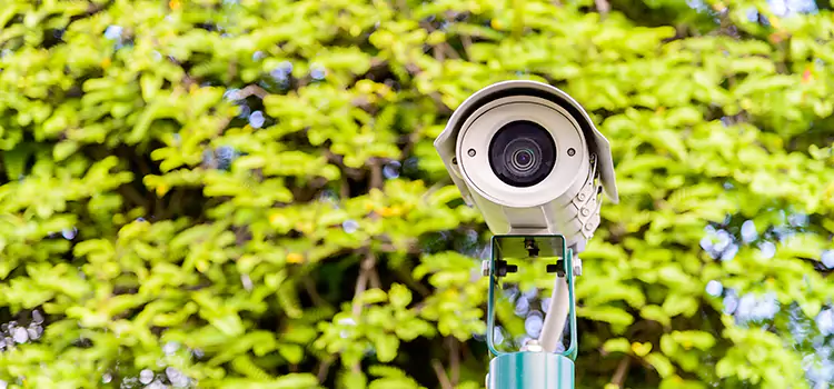Advanced Surveillance Solutions for Every Need in Weslaco