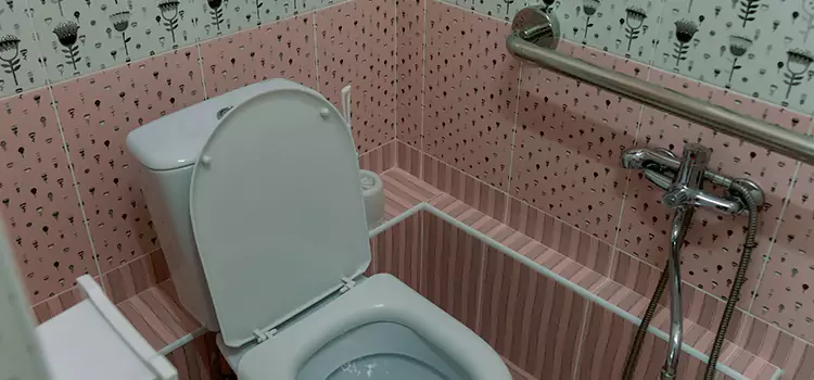 Meeting Diverse Needs With Accessible Restroom Solutions in Weslaco, TX