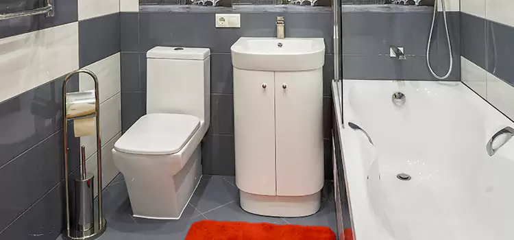 Hansgrohe Shaving Mirror Weslaco