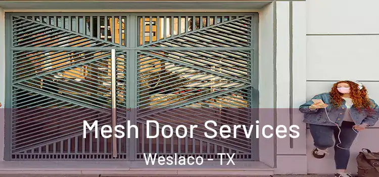 Mesh Door Services Weslaco - TX